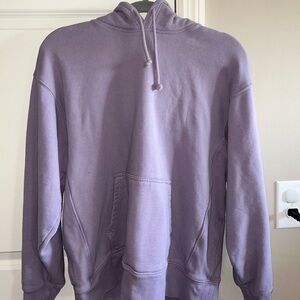 Aritzia Boyfriend Hoodie